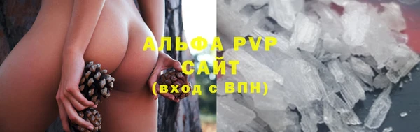 кокс Осташков