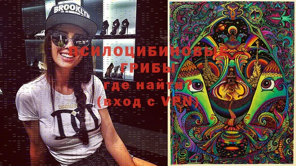 кокс Осташков
