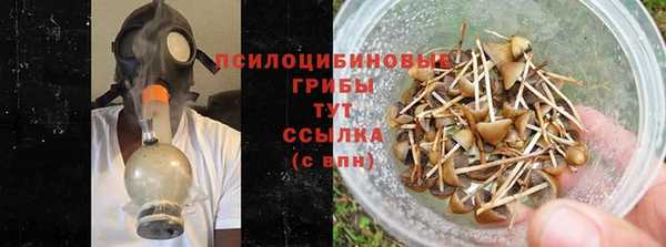 кокс Осташков