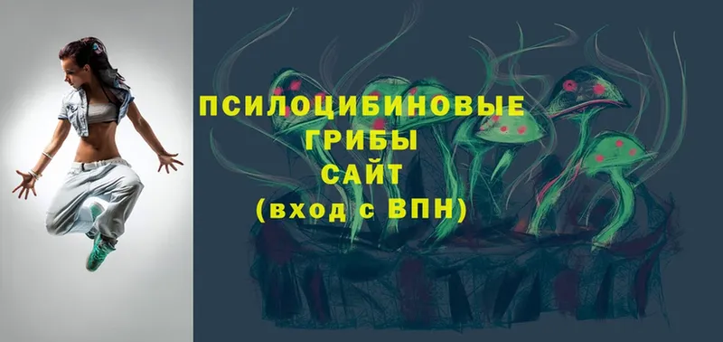 Псилоцибиновые грибы Psilocybe  цена   Электрогорск 