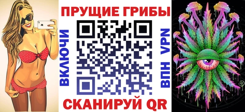 Псилоцибиновые грибы Psilocybe  omg зеркало  Электрогорск 