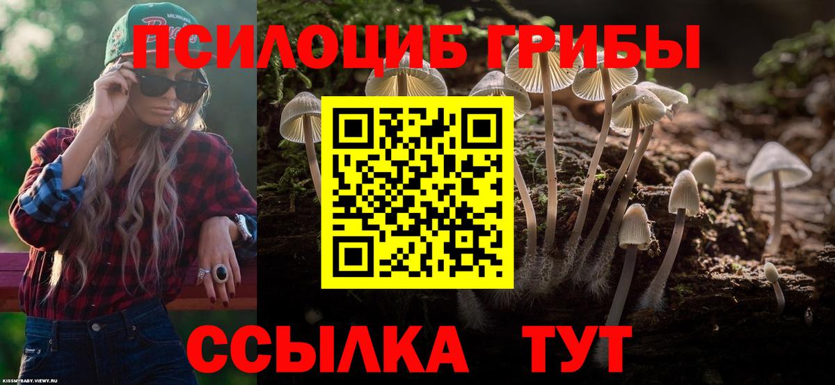 Псилоцибиновые грибы MAGIC MUSHROOMS Электрогорск