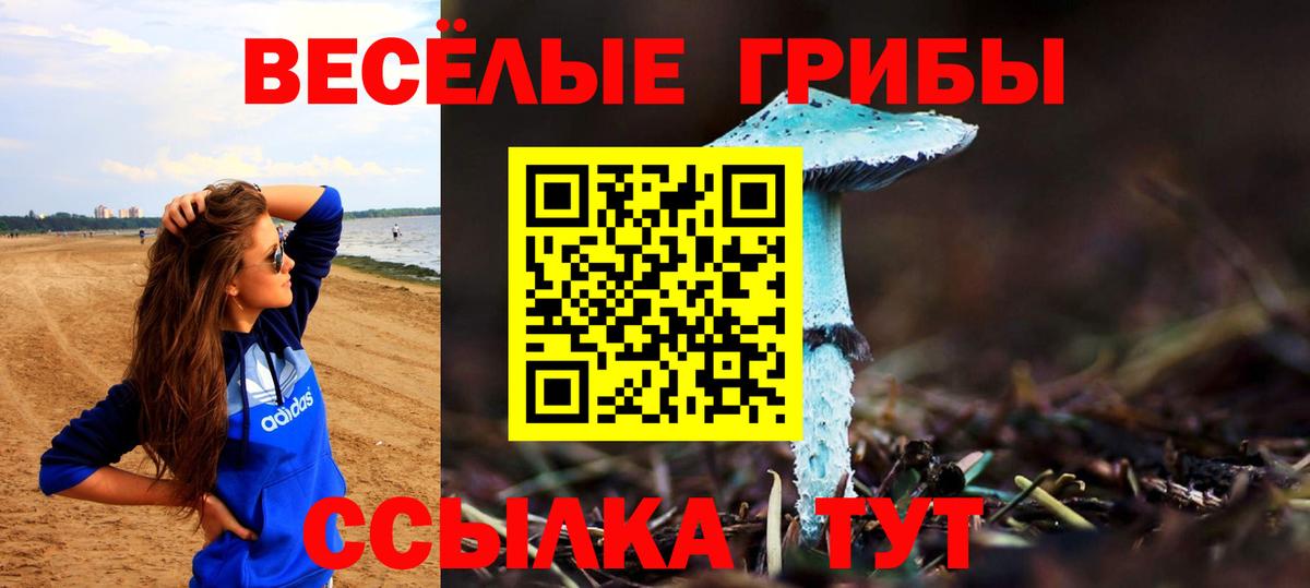 Электрогорск  Галлюциногенные грибы прущие грибы  Вход с VPN 